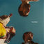 Cover Never Better