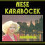 Cover Amerika 2