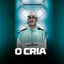 Cover O CRIA (Remix Arrochadeira)