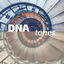 Cover DNA Tones - Whole Body Meditation & Regeneration Tone, 528Hz DNA Healing