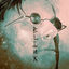 Cover Blink