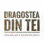Cover Dragostea Din Tei