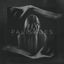 Cover Palisades