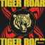 Cover Tiger (Roar)