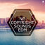 Cover No Copyright Sounds EDM