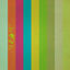 Cover Pioneer Lane