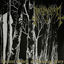 Cover Ancient Howls of Dawning Fury