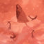 Cover Odalisca