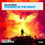 Cover Phoenix in the Night
