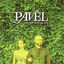Cover I Mi Smo Dosli Na Red