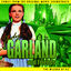 Cover Wizard of Oz - The Soundtrack