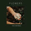 Cover Flowers