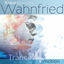 Cover Richard Wahnfried's Trance 4 Motion