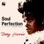Cover Soul Perfection (2024 remastered)