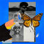Cover Butterflies