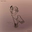 Cover Phoenix