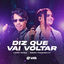 Cover Diz Que Vai Voltar