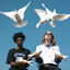 Cover Birds Fly By Night