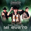 Cover Pura Pieza de Mi Gusto