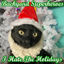 Cover I Hate the Holidays