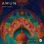 Cover Amun