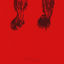 Cover PARHELIA
