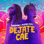 Cover Dejate Cae