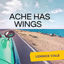 Cover Ache Has Wings