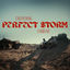 Cover Perfect Storm