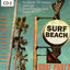 Cover Surf Party - The First Wave, Vol. 2