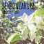 Cover Senbonzakura