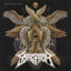 Cover Swarming Angels & Flies