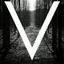 Cover V