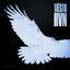 Cover RVN (Raven)