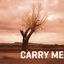 Cover Carry Me