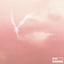 Cover clouds