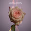 Cover Break Your Fall EP