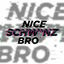 Cover Nice Schwanz Bro (Polska Remix)