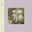 Cover Kofū