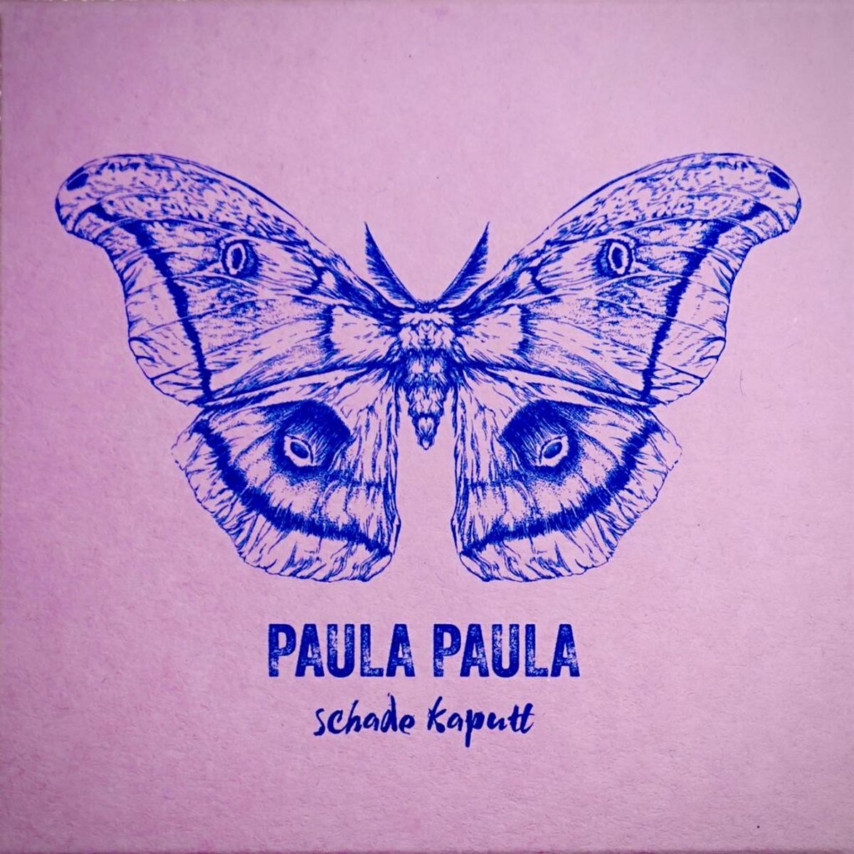 Schade Kaputt Paula Paula Album Rtl