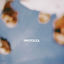 Cover Protocol