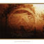 Cover Selected Ambient Works Volume II