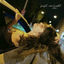 Cover fast verliebt