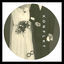 Cover Sammelwerk II
