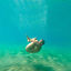 Cover Au bord