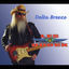 Cover Delta Breeze