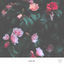 Cover Love Me