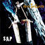 Cover Sap