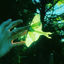 Cover neonmoth EP