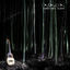 Cover Cañaveral